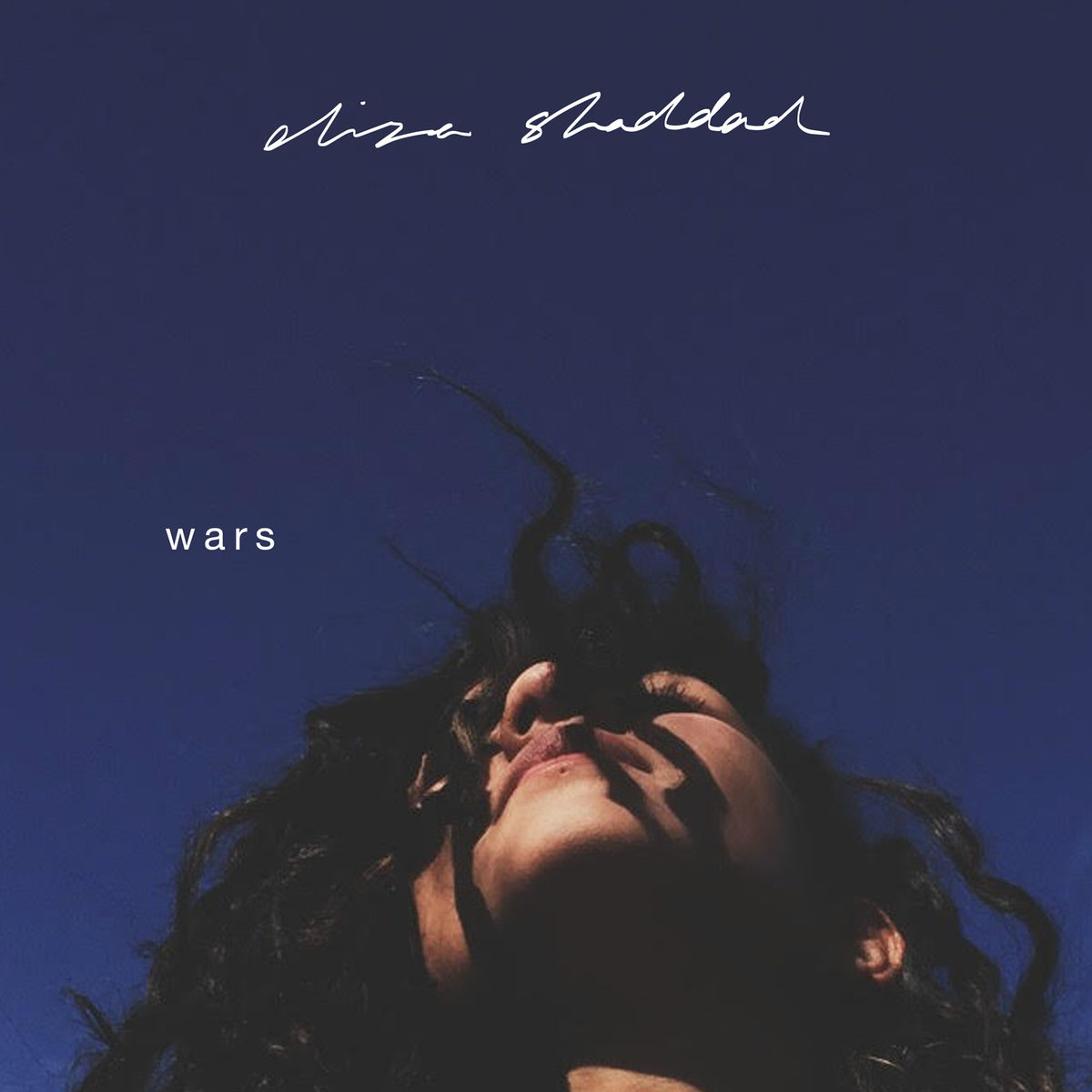 Album cover of Wars