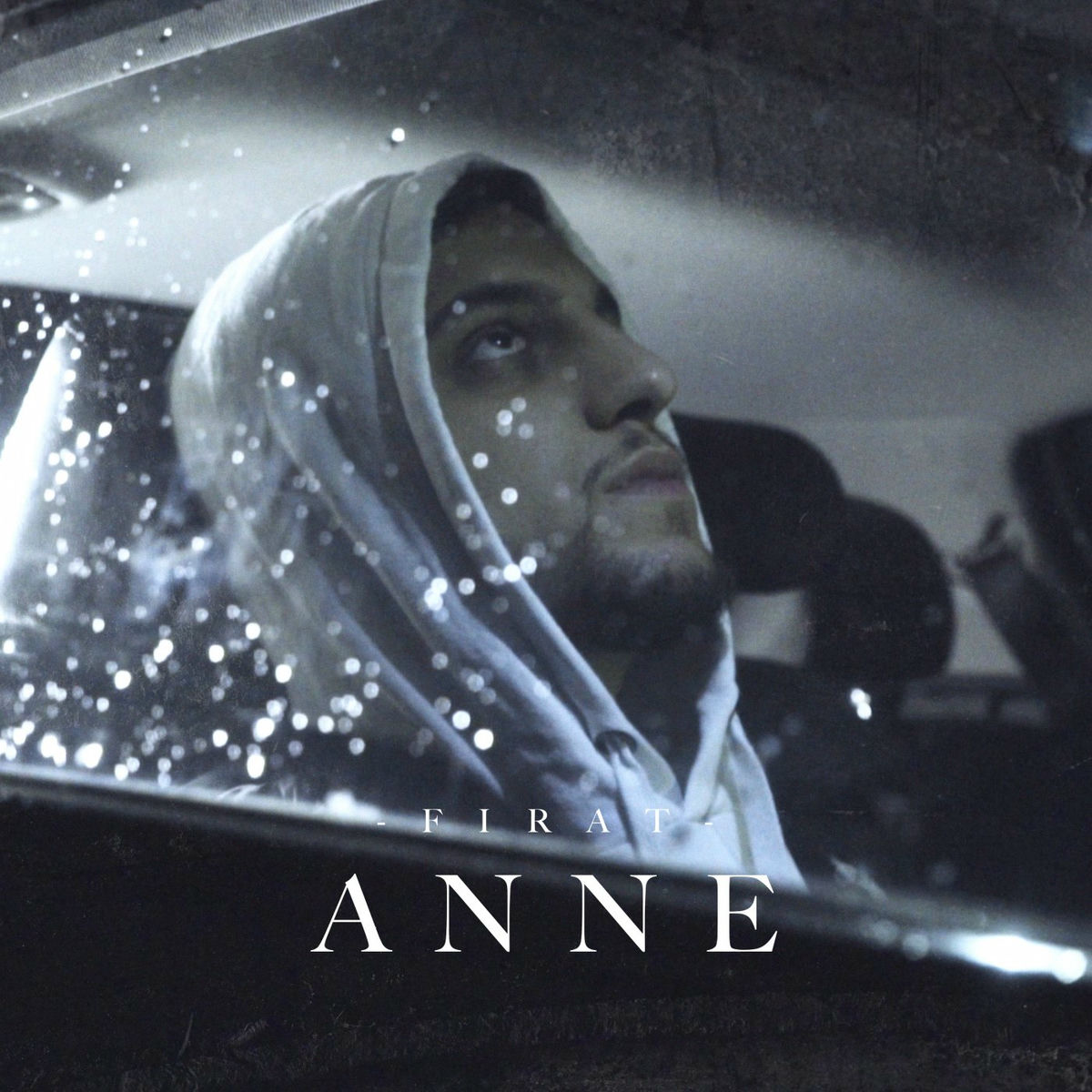 Album cover of ANNE