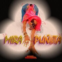 MIRA PUÑETA
