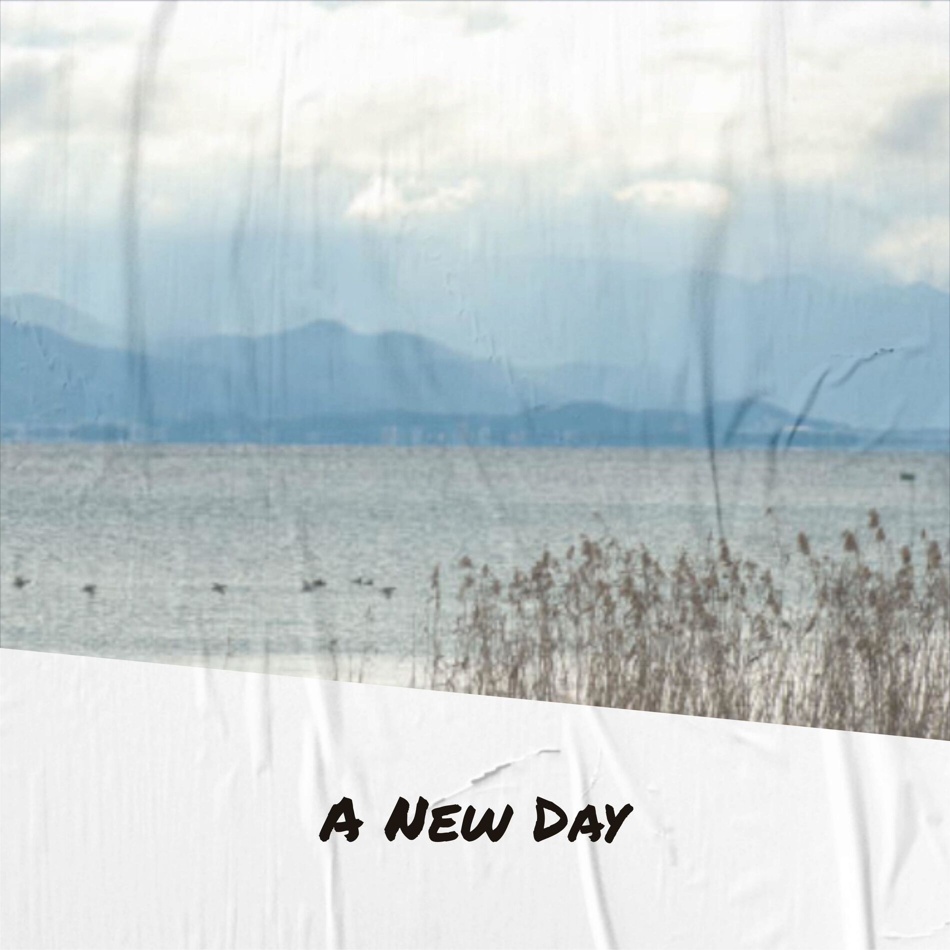 Album cover of A New Day