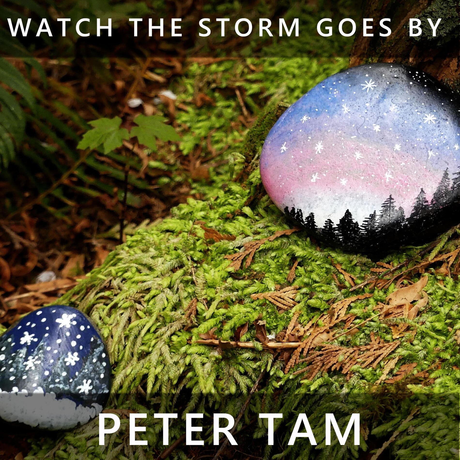 Album cover of Watch the Storm Goes By