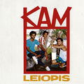 Leiopis