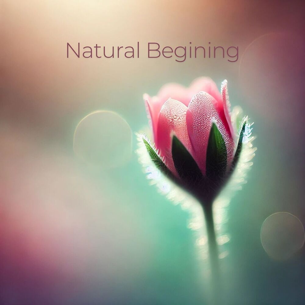 Picture of Natural Begining: New Start in April