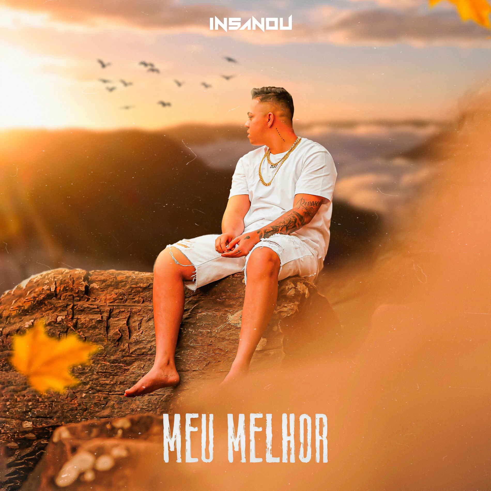 Album cover of Meu Melhor