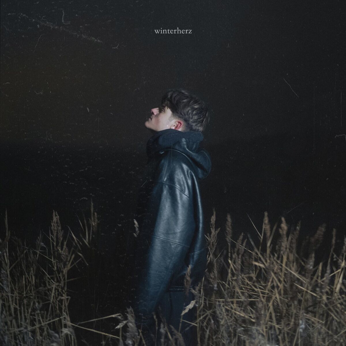 Album cover of Winterherz