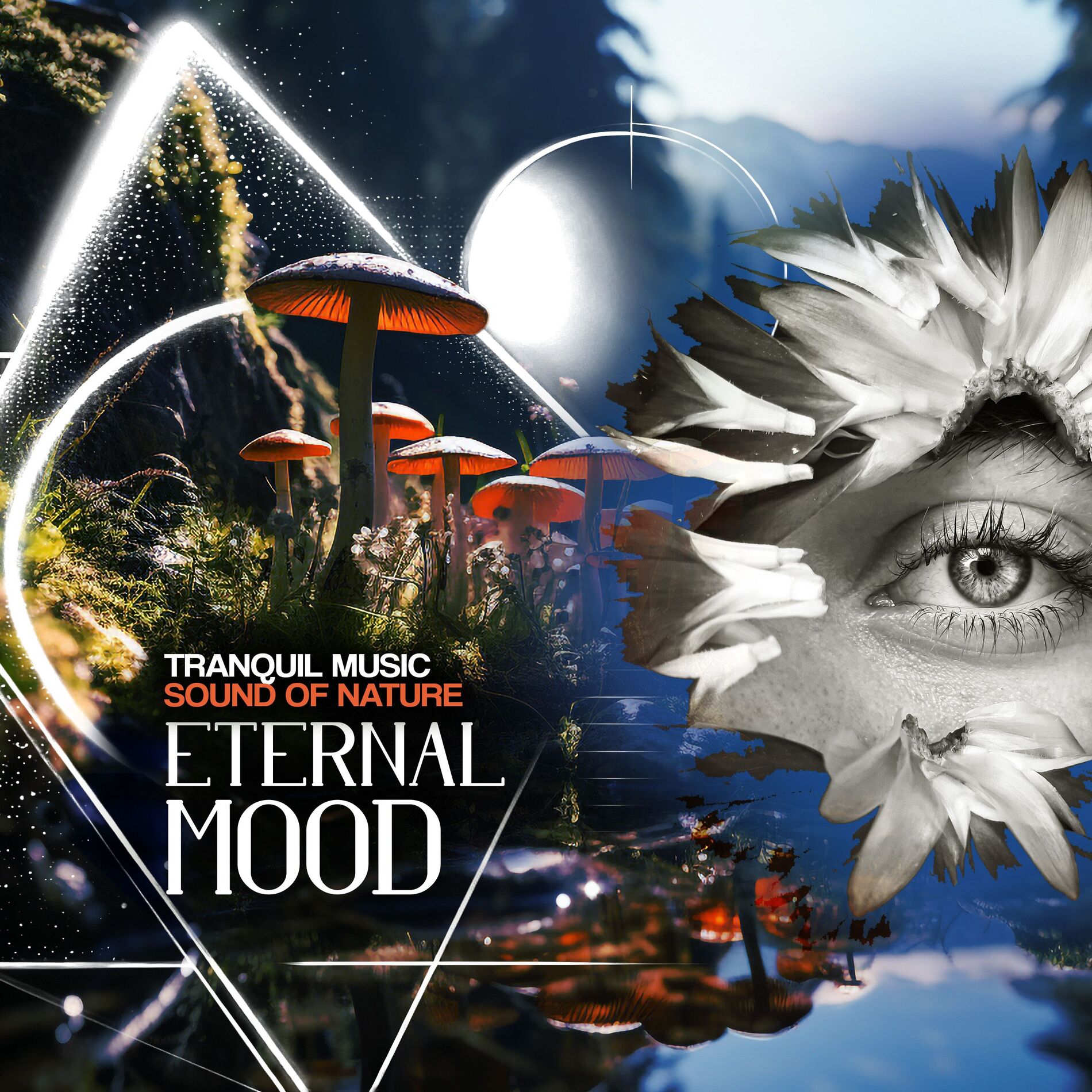 Album cover of Eternal Mood