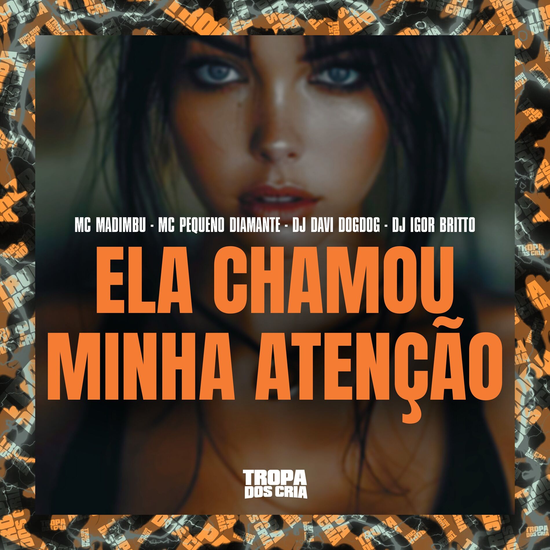Album cover of Ela Chamou Minha Atenção