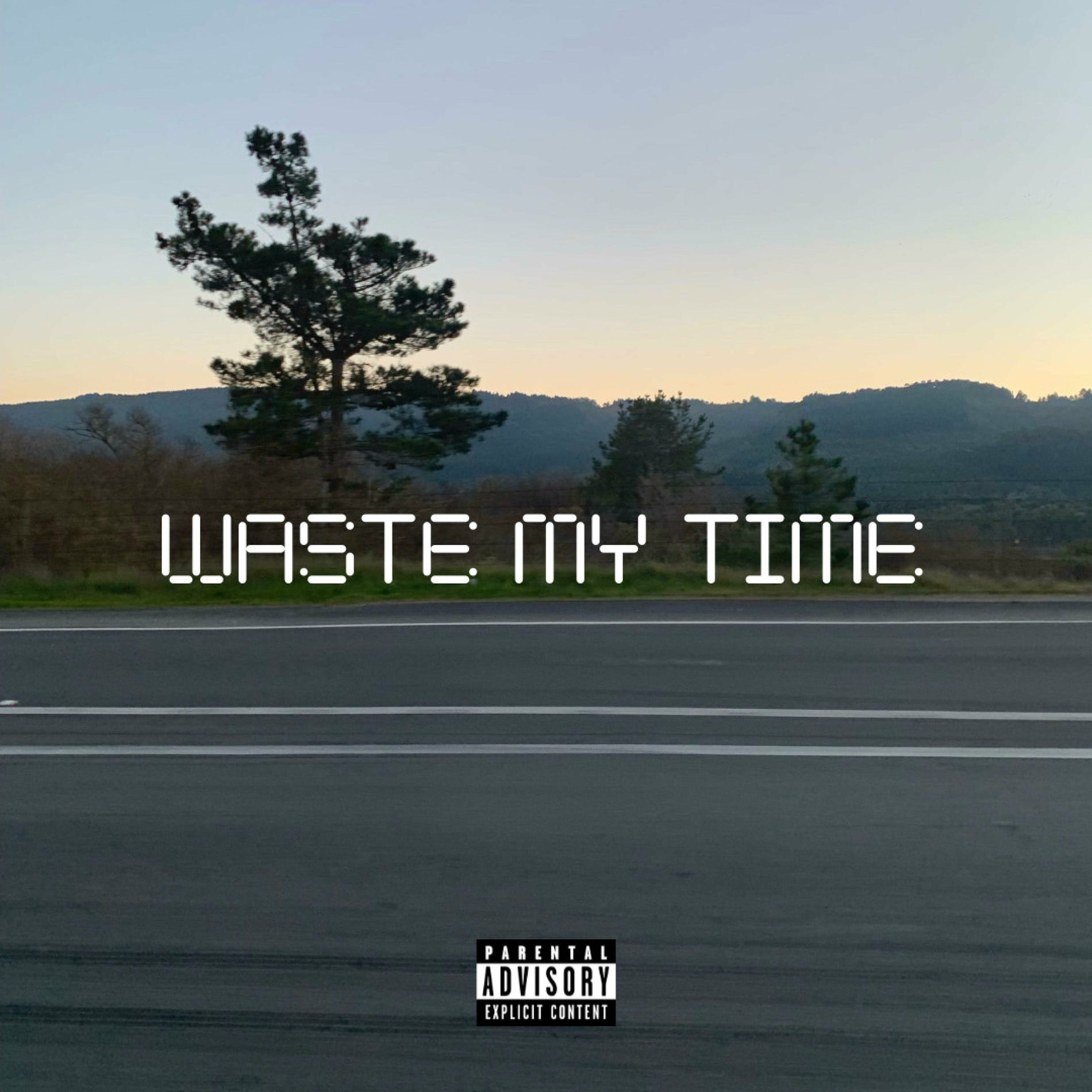 Album cover of WASTE MY TIME
