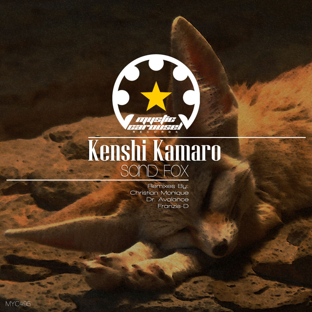 Picture of Sand Fox