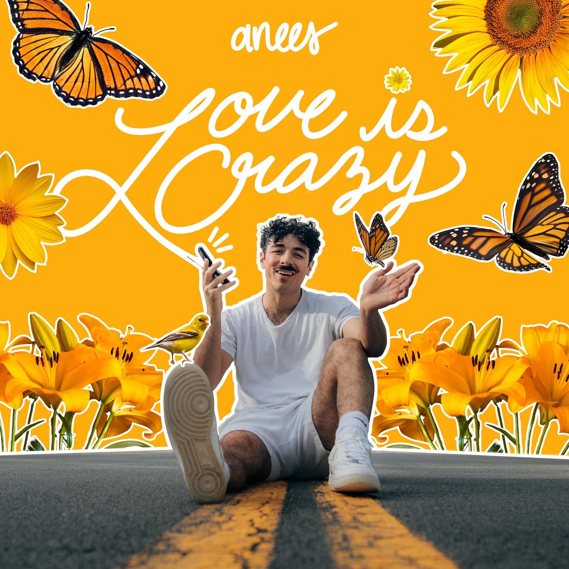 Album cover of love is crazy