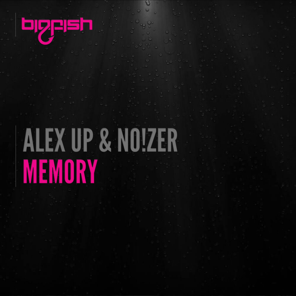 Picture of Memory