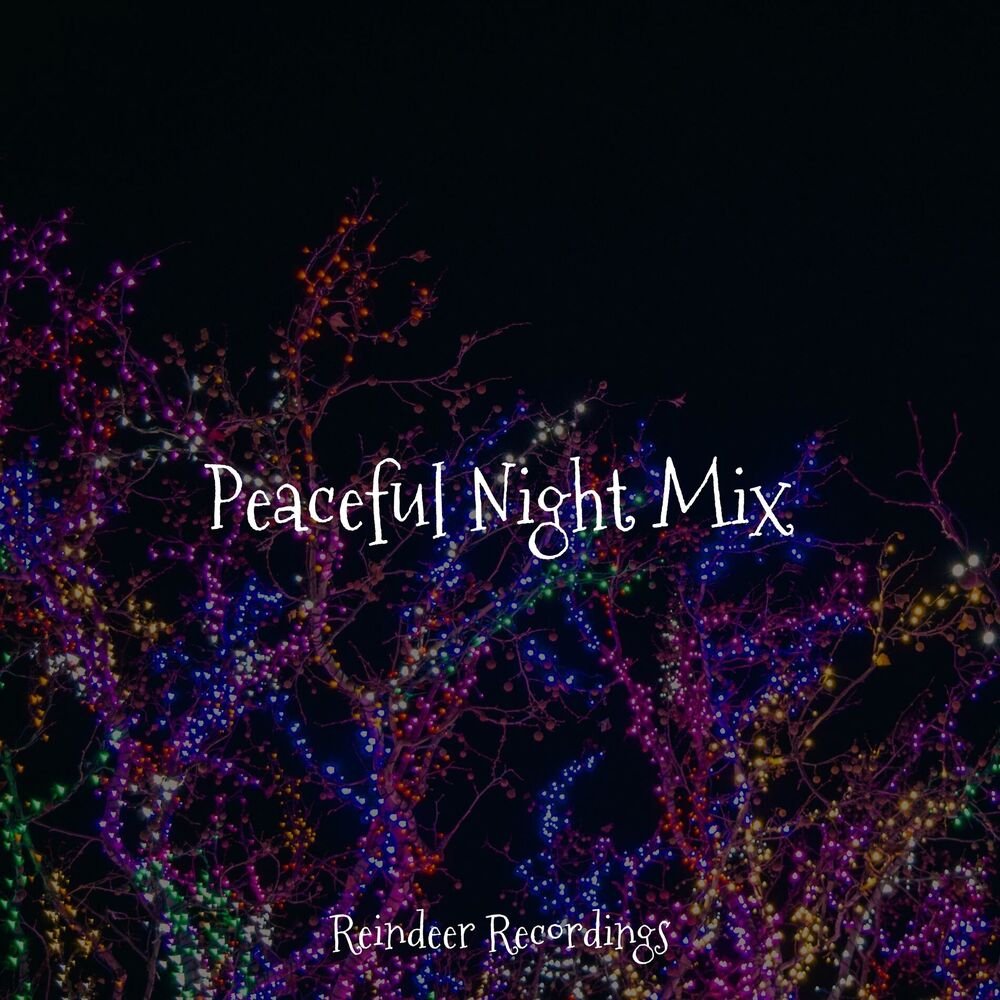 Picture of Peaceful Night Mix