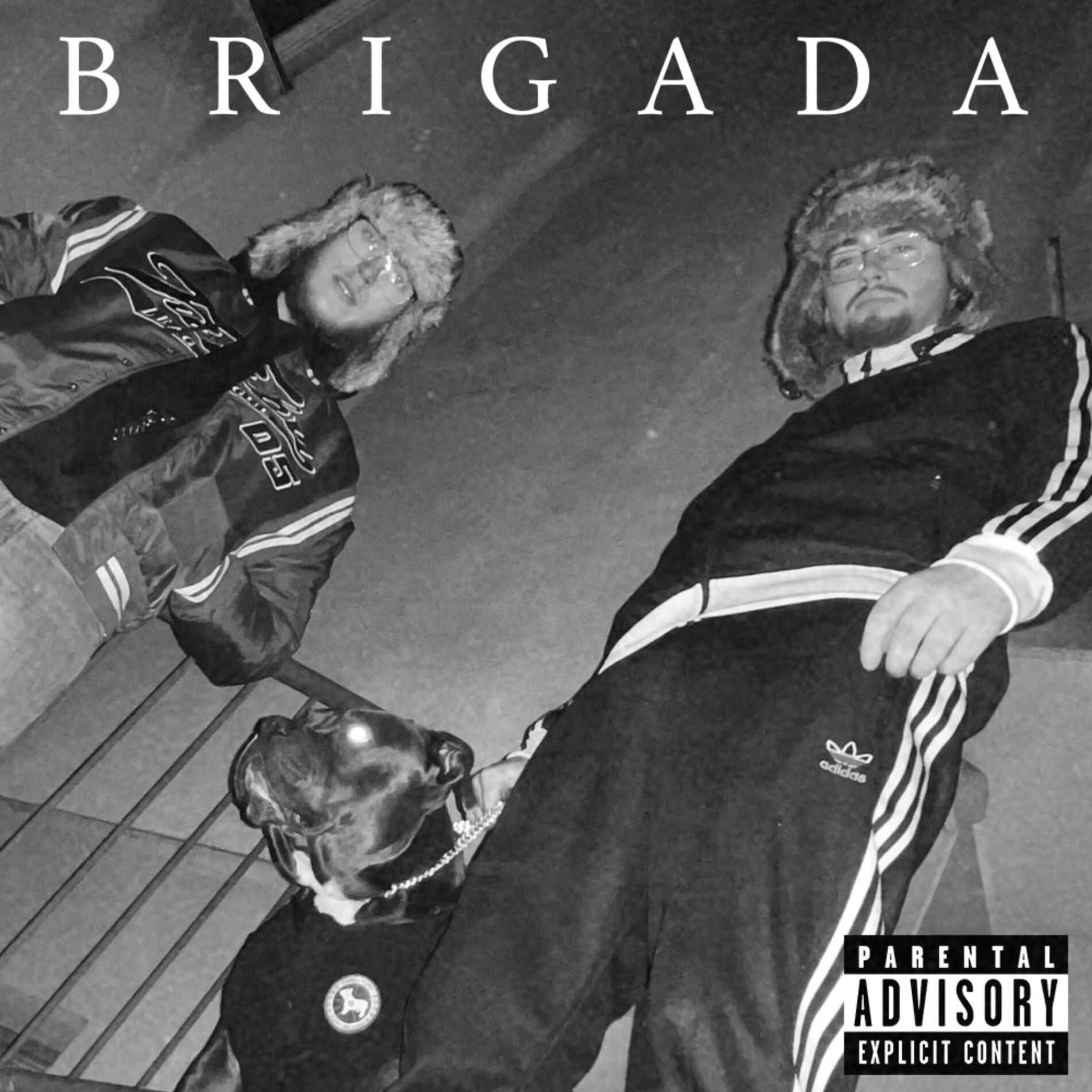Album cover of Brigada