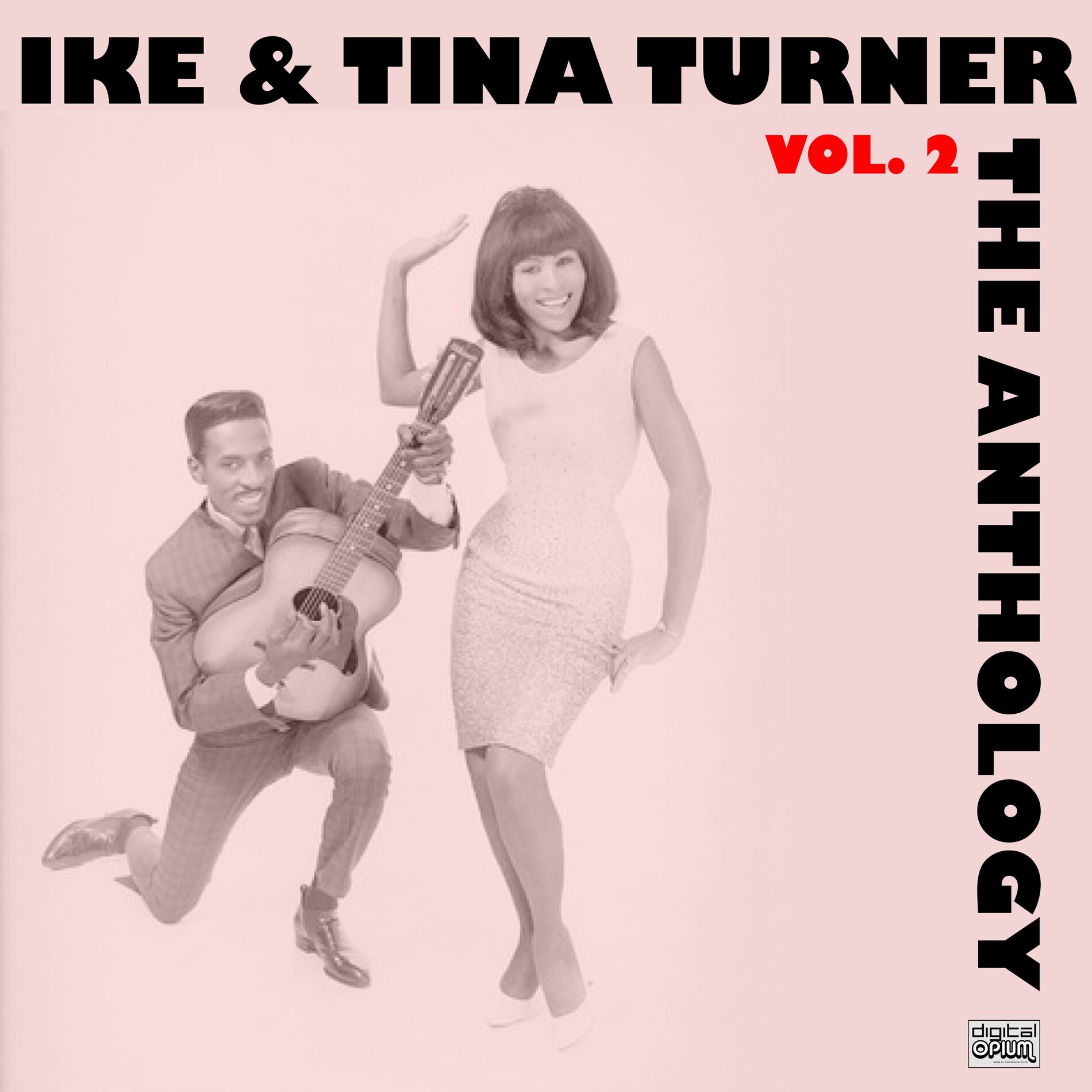 Album cover of The Anthology Vol. 2 (Live)