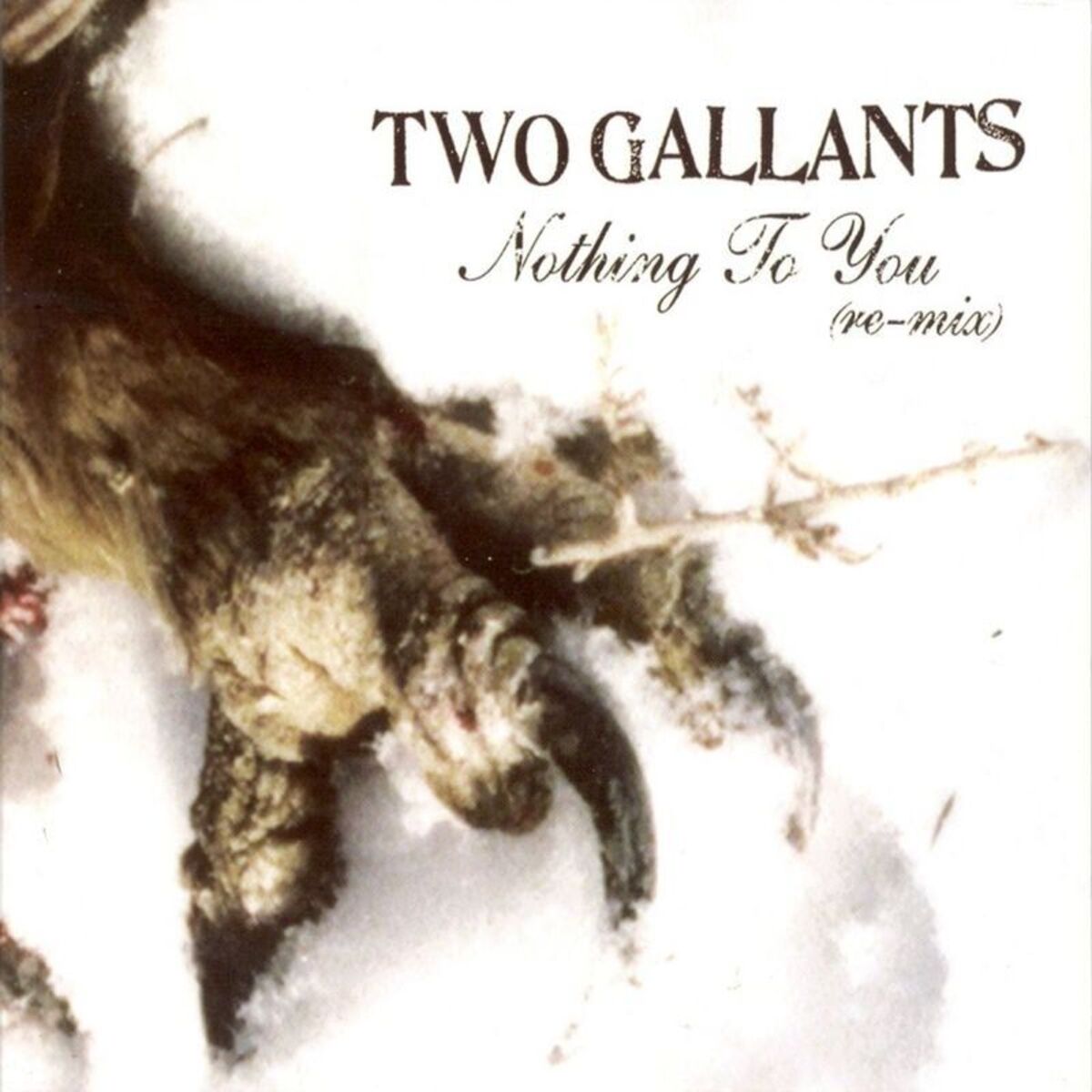 Album cover of Nothing To You Remix