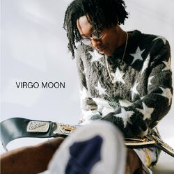 Cover of Virgo Moon