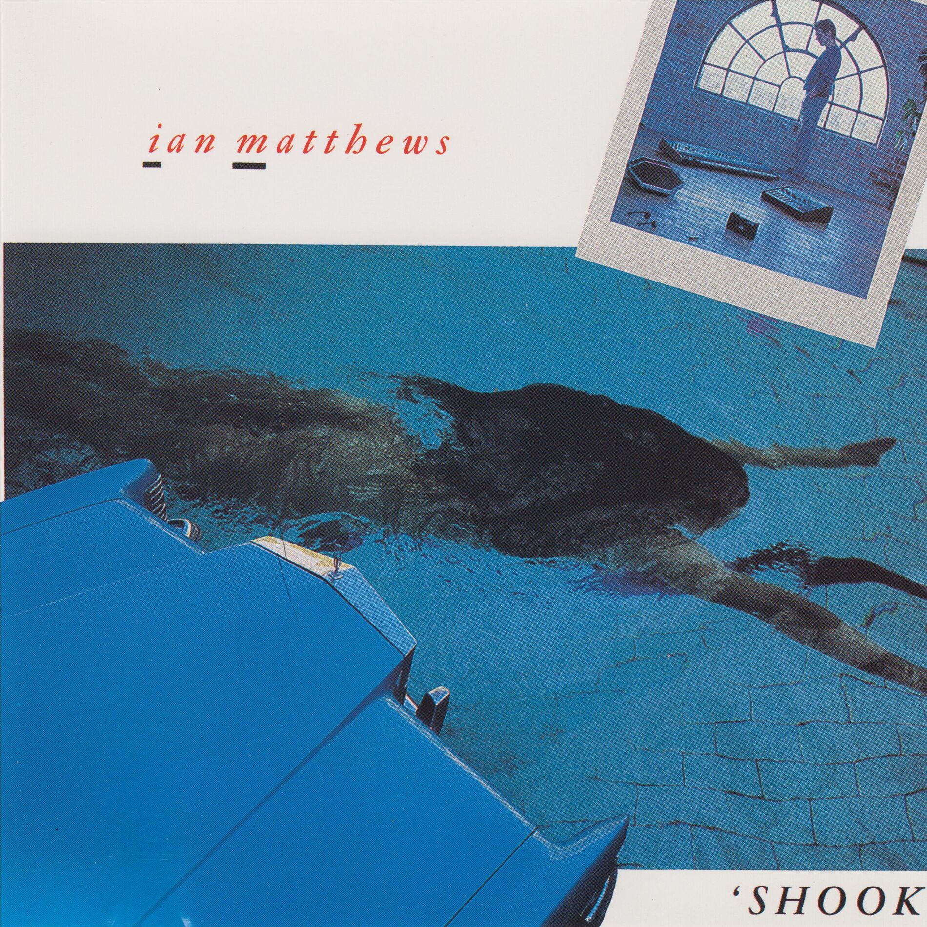 Album cover of Shook