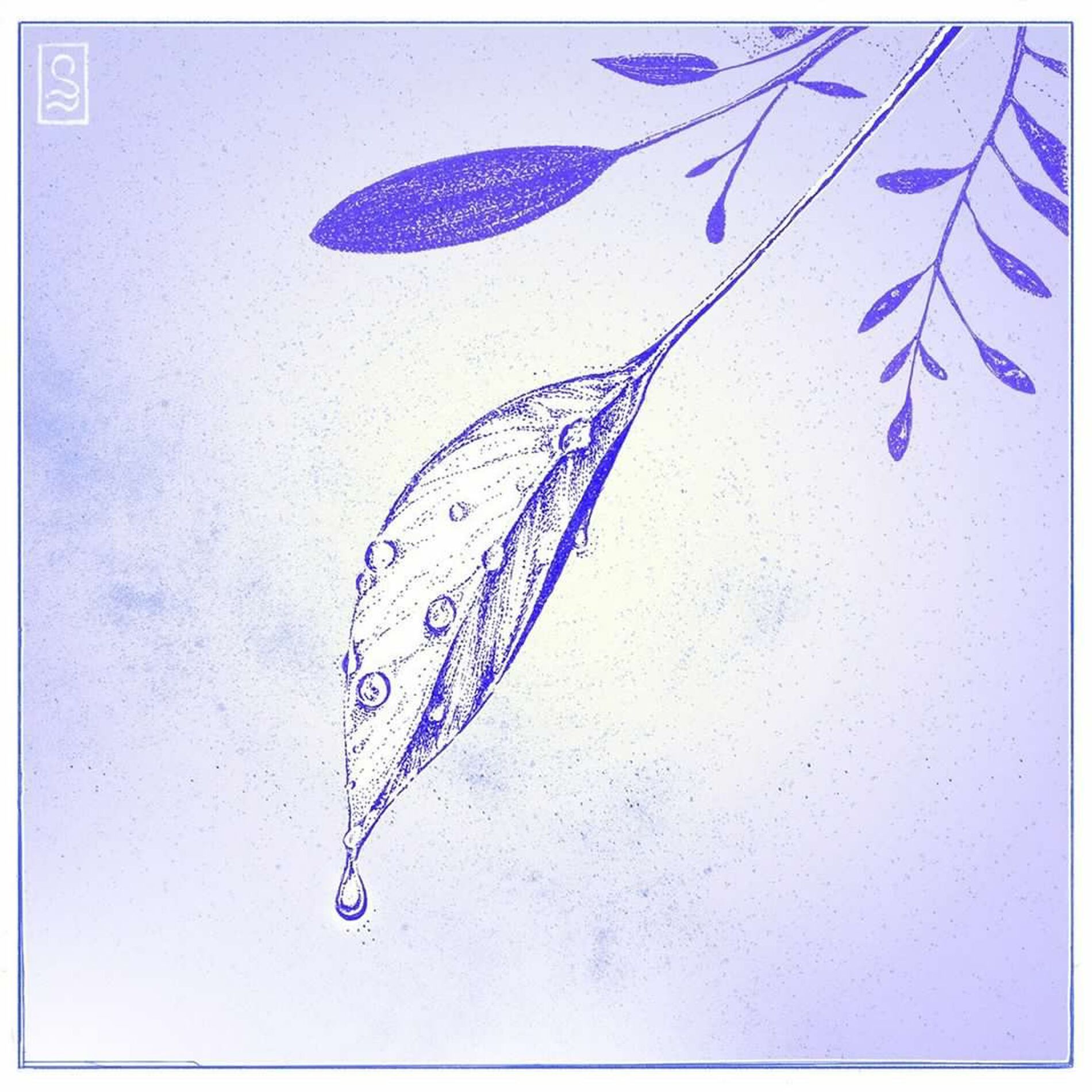 Album cover of Nepenthe