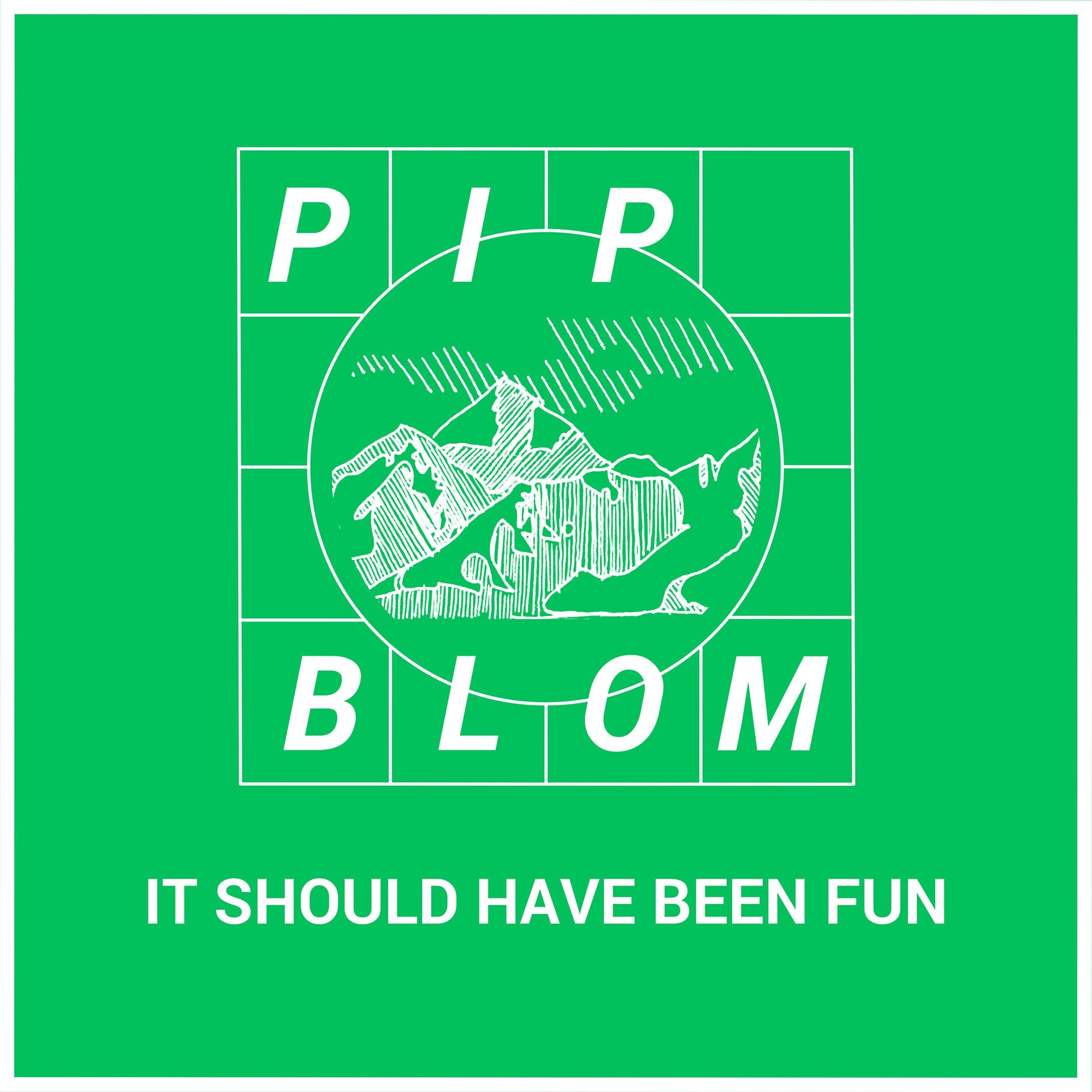 Album cover of It Should Have Been Fun