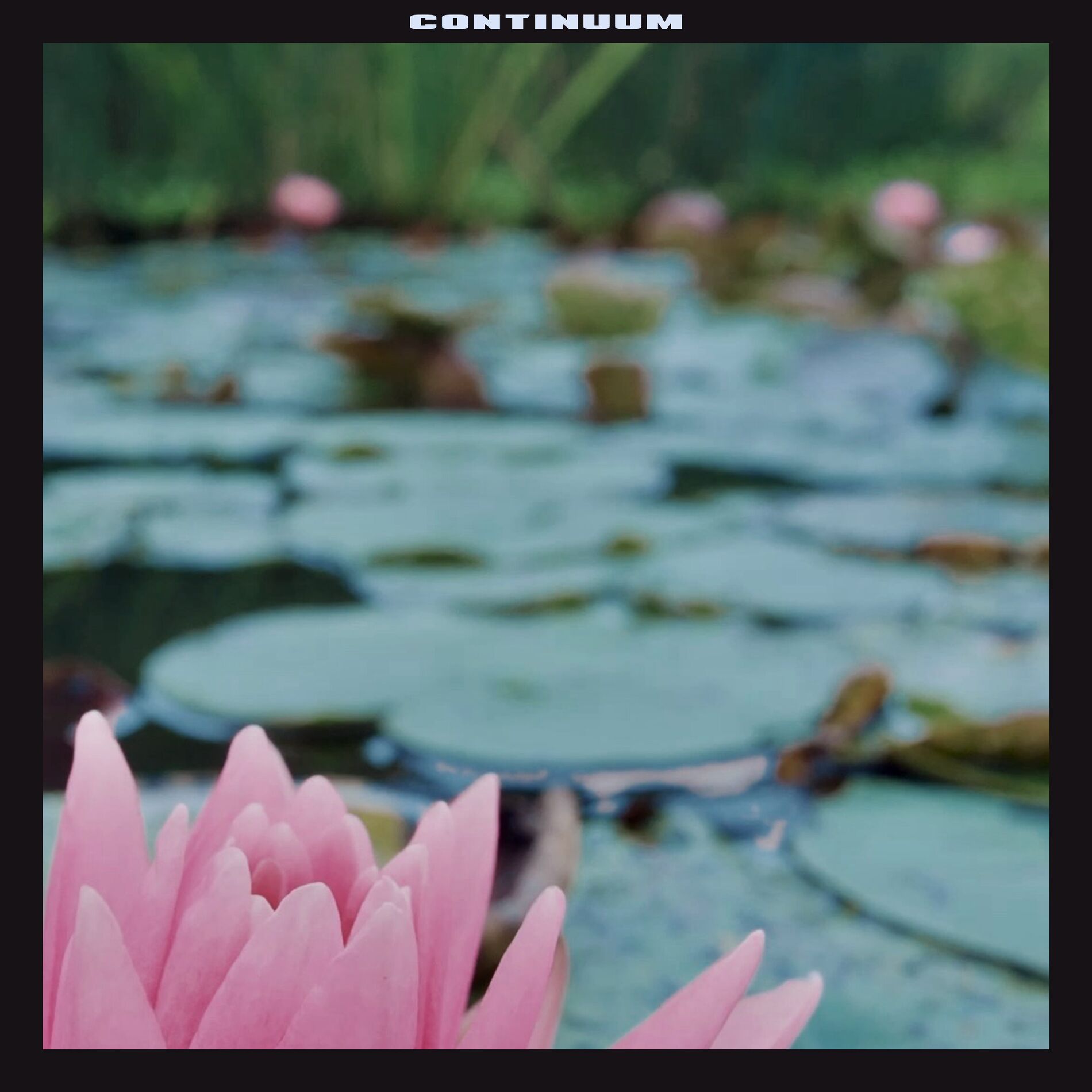 Album cover of Continuum