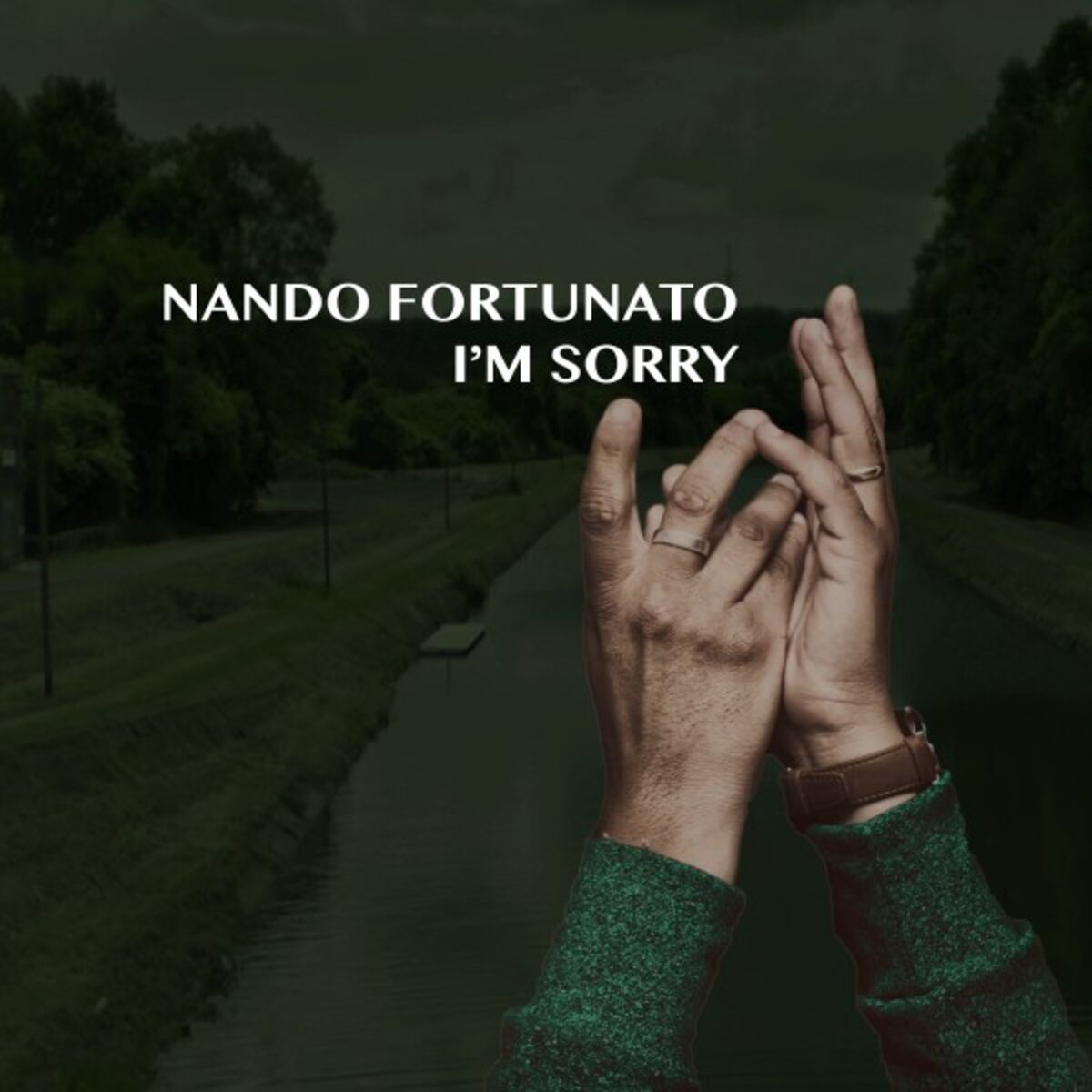 Album cover of I'm Sorry