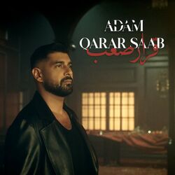 Cover of Qarar Saab