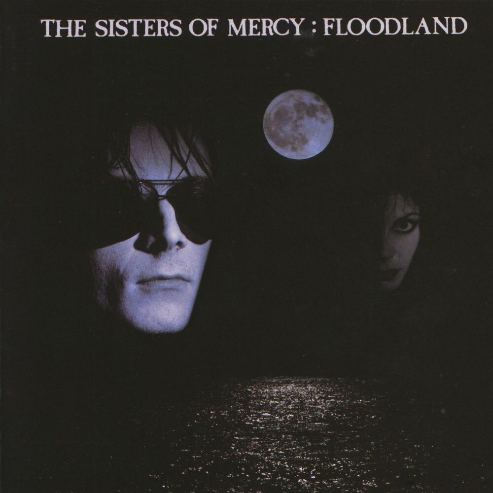 Picture of Floodland (2006 Remaster; Expanded Deluxe Version)