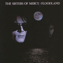 Cover of Floodland (2006 Remaster; Expanded Deluxe Version)