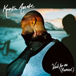 Cover of Wait for Me (Promise)