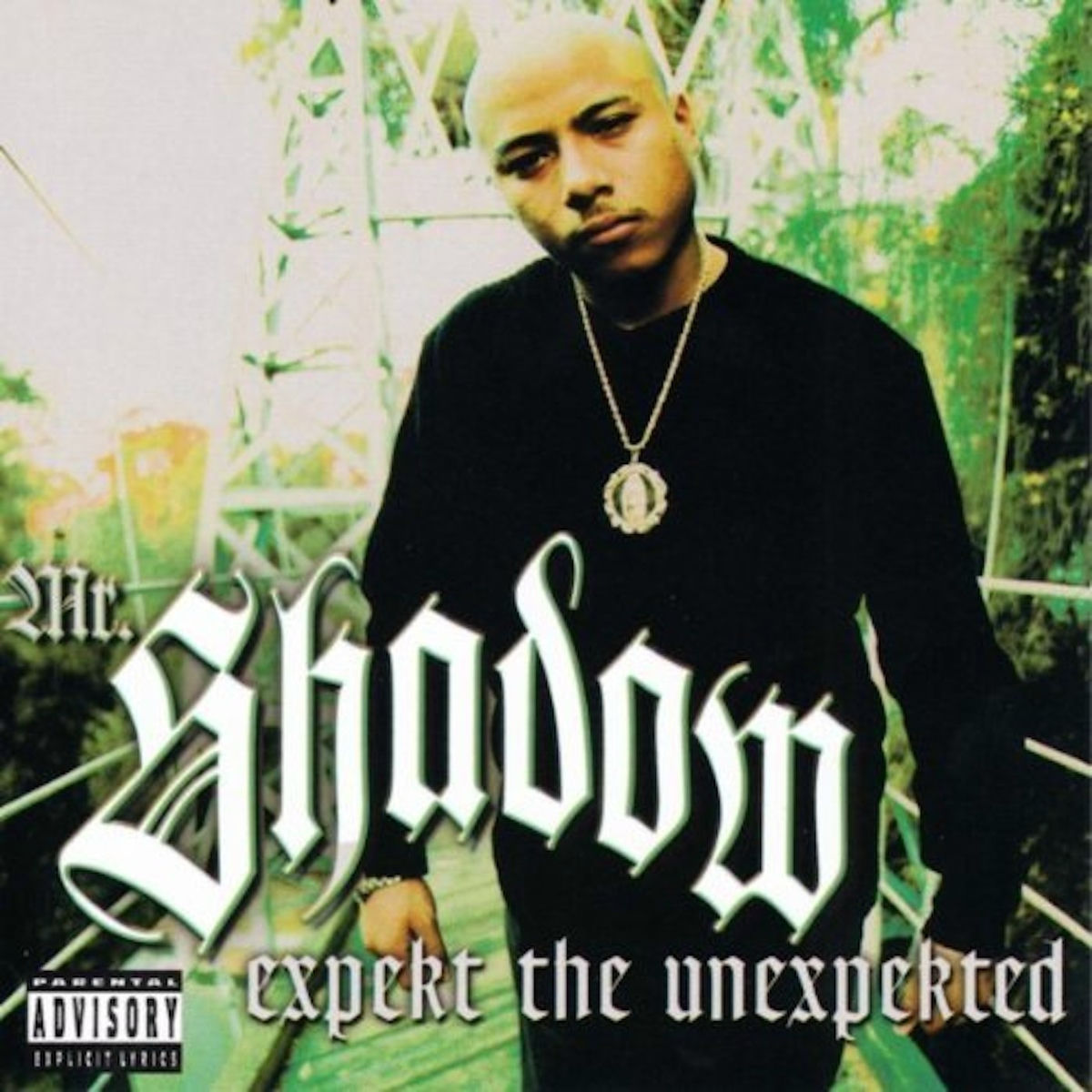 Album cover of Expekt The Unexpekted