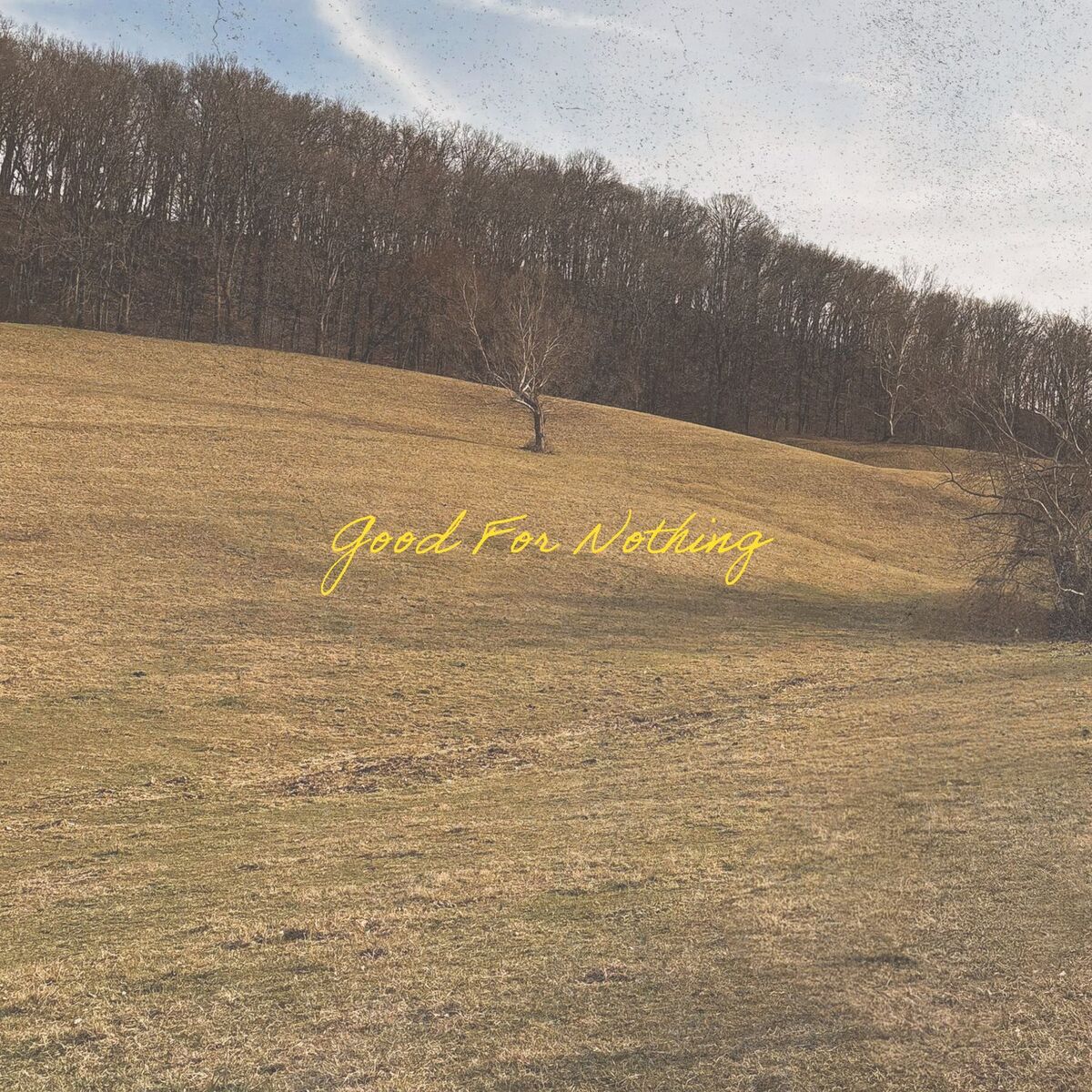 Album cover of Good For Nothing