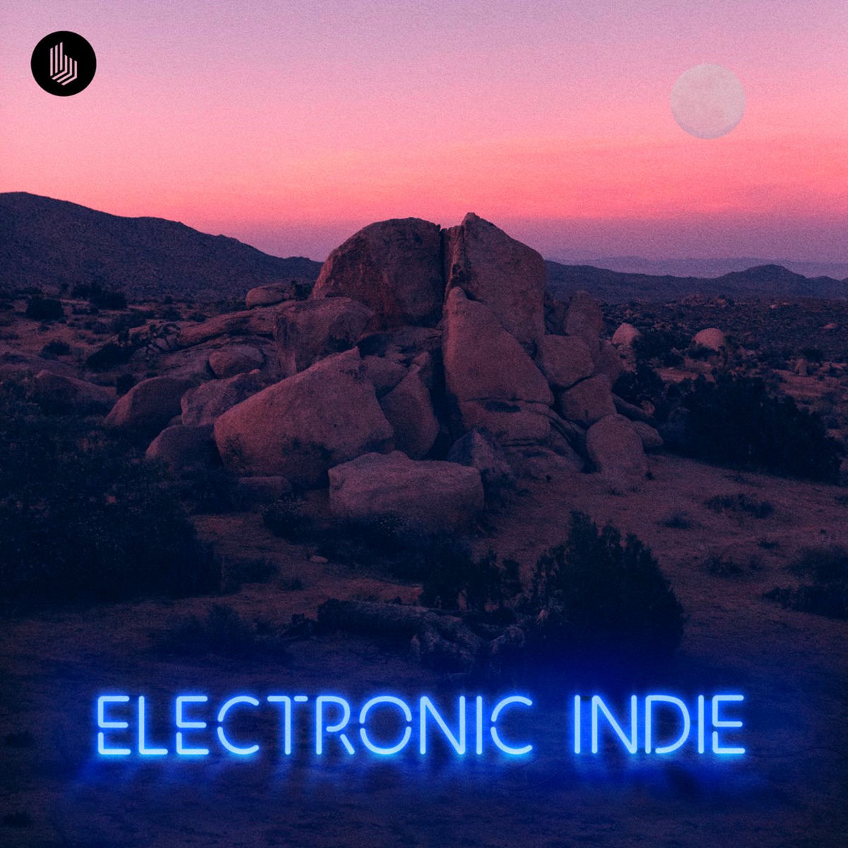 Album cover of Electronic Indie