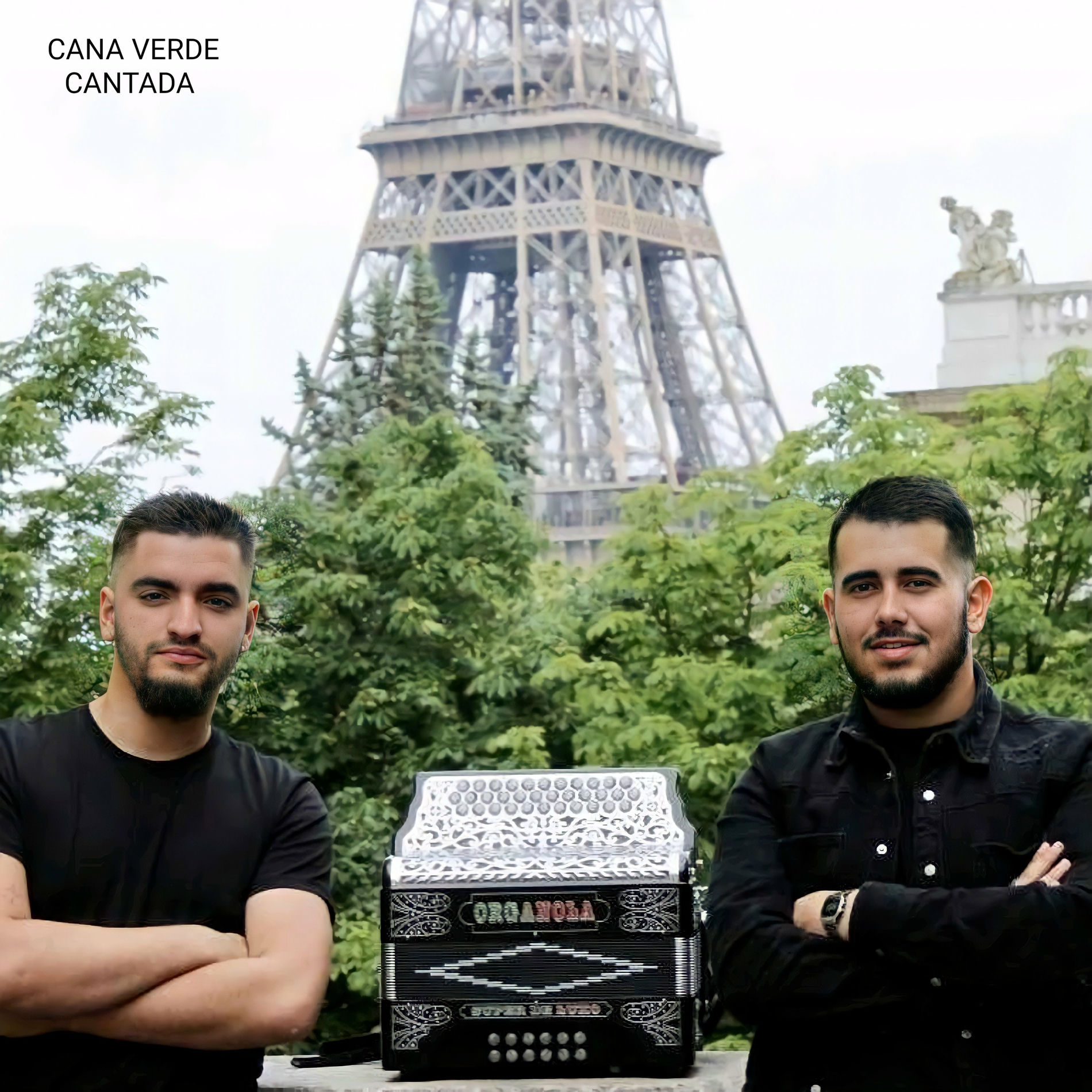 Album cover of CANA VERDE CANTADA