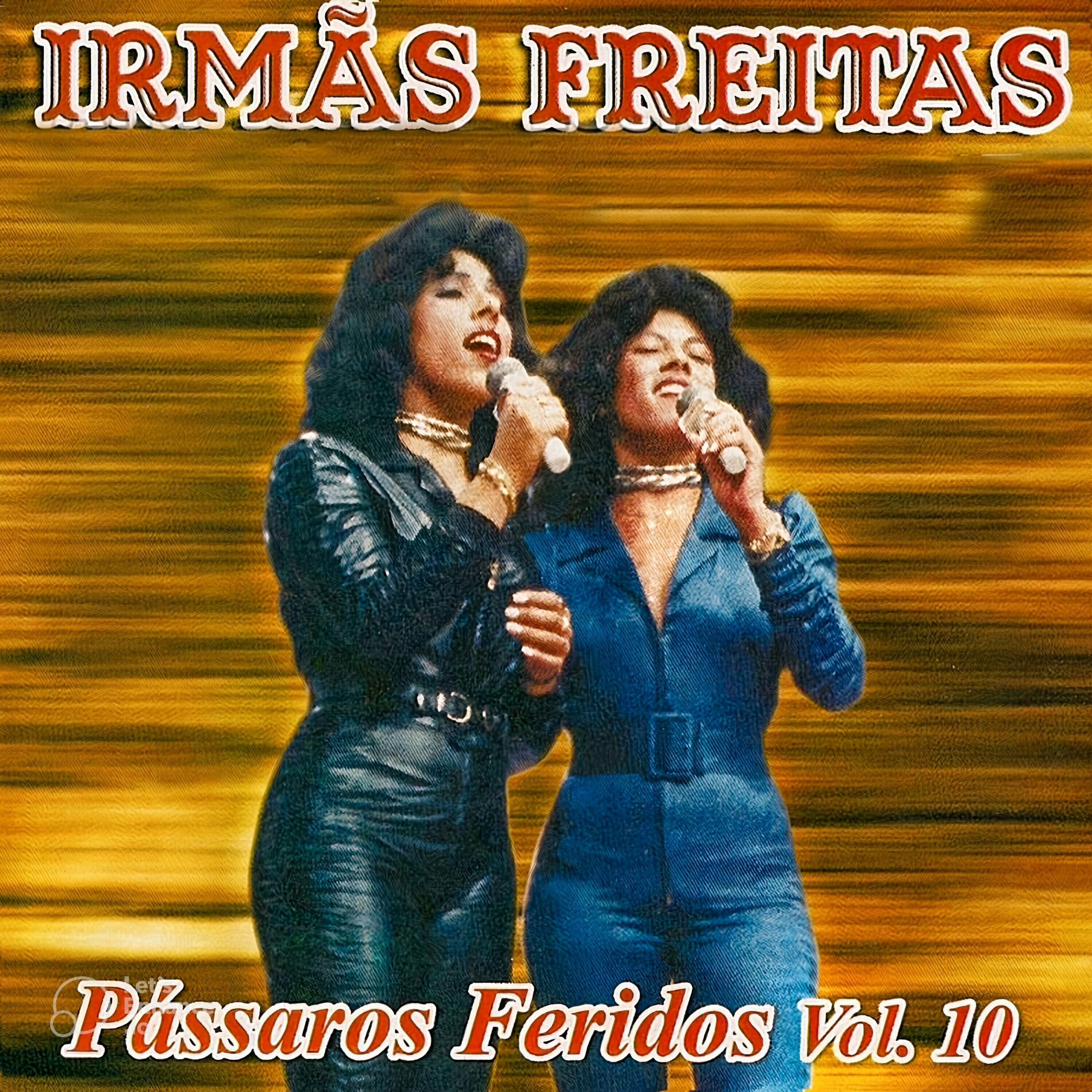 Album cover of Pássaros Feridos Vol. 10
