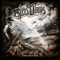 Cover of Straw in the Wind