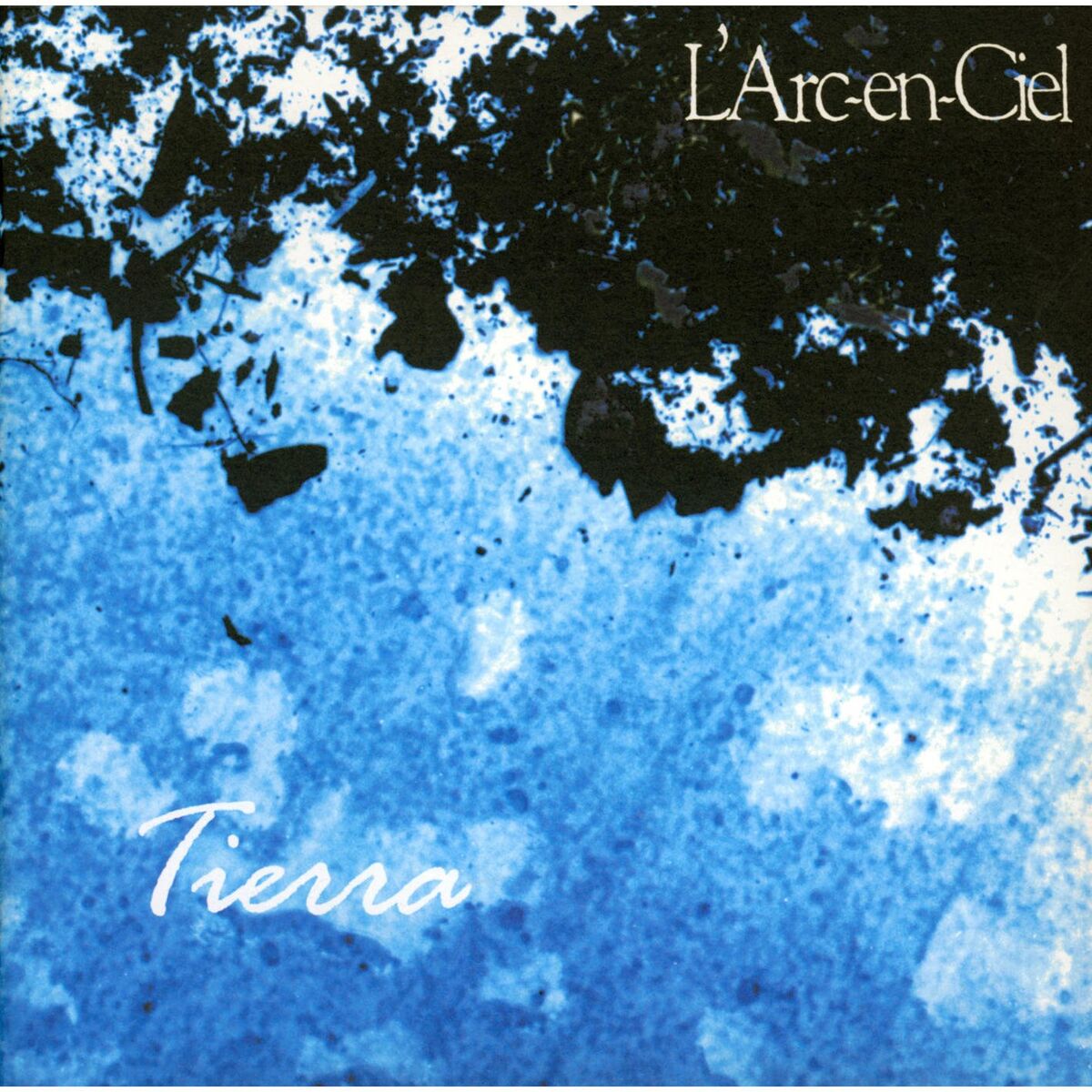 Album cover of Wind of Gold