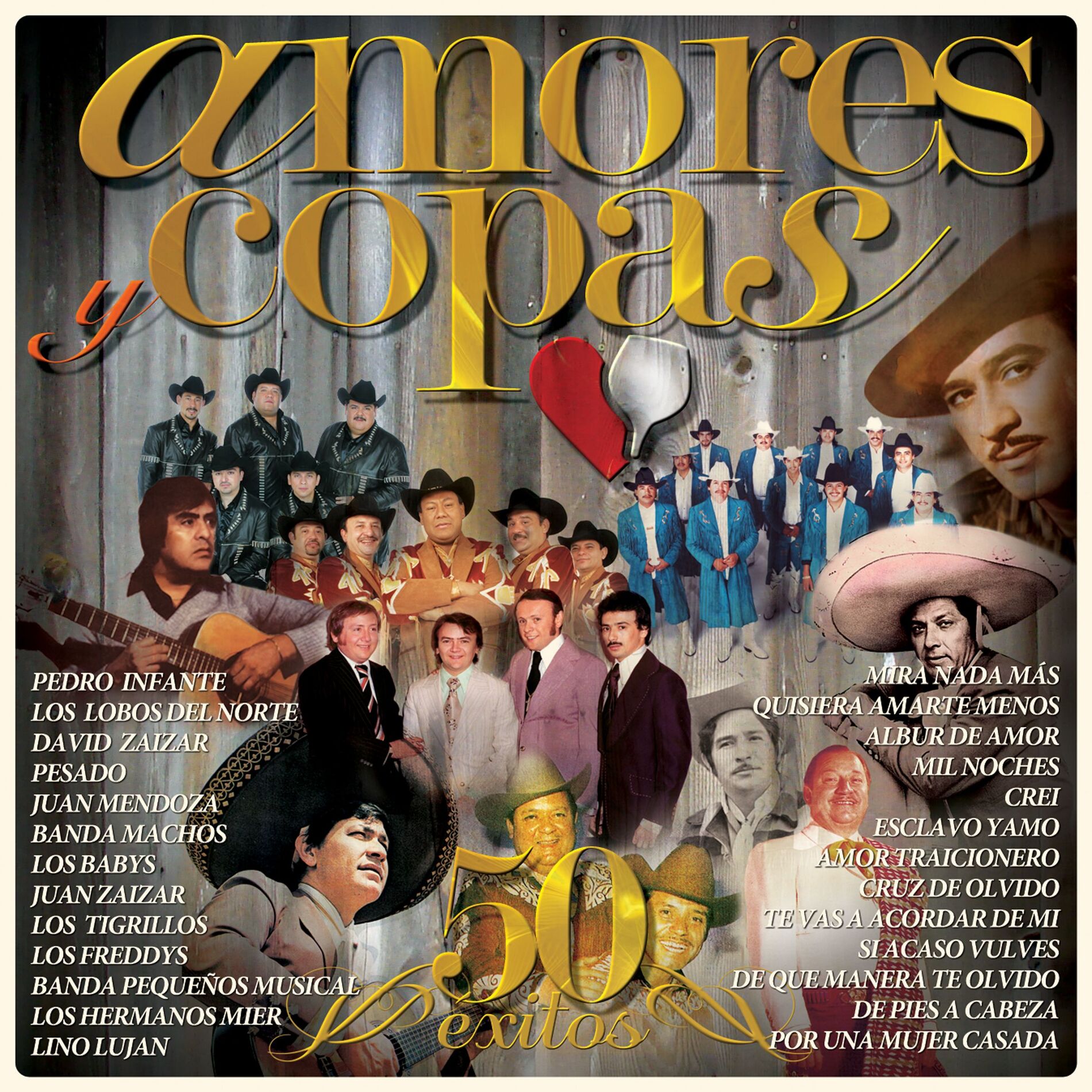 Album cover of Mi destino fue quererte