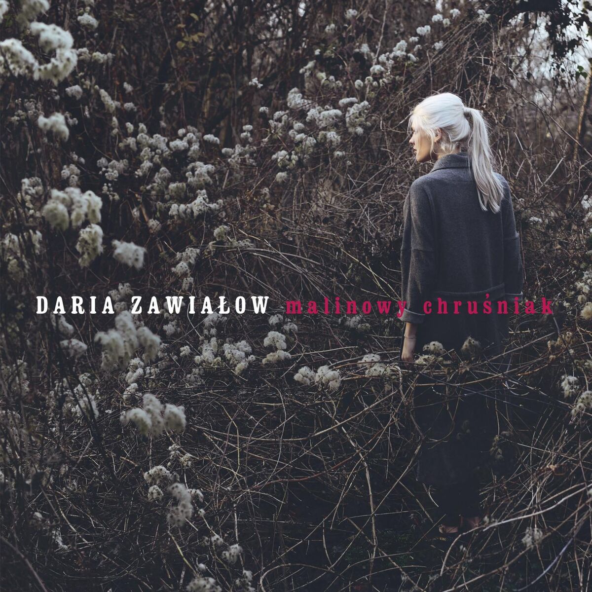 Album cover of Malinowy Chrusniak