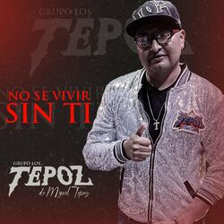 Cover of No Se Vivir Sin Ti