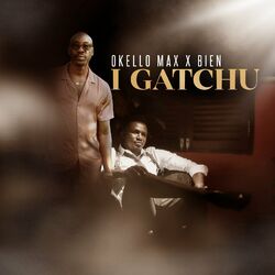 Cover of I Gatchu