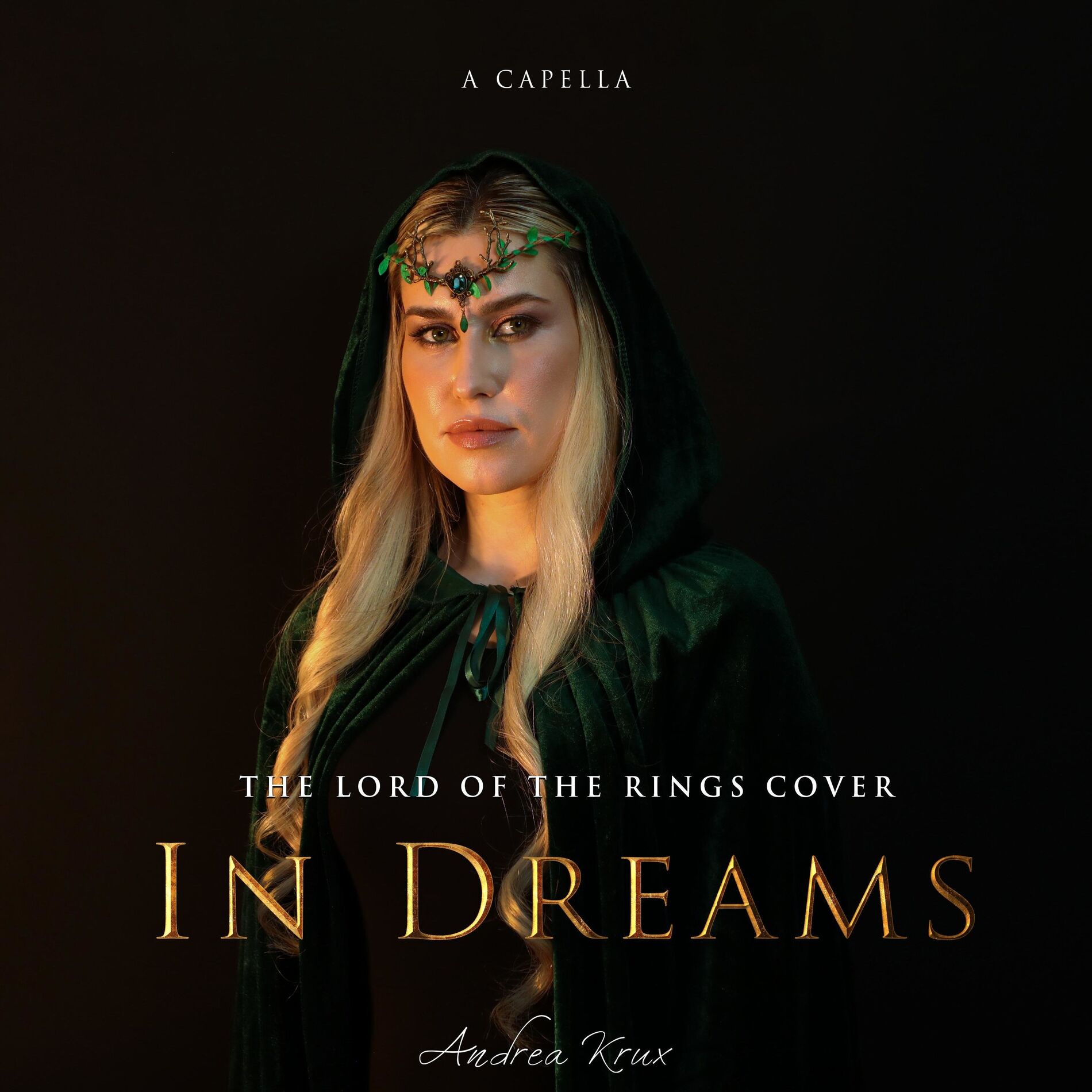 Album cover of In Dreams Acapella Cover, The Lord of The Rings