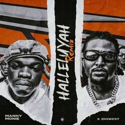 Cover of Halleluyah (Remix)