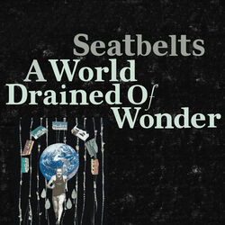 A World Drained of Wonder