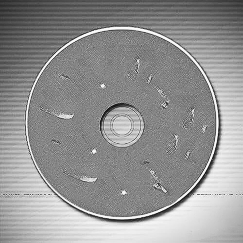 Picture of RIP CAP RAP