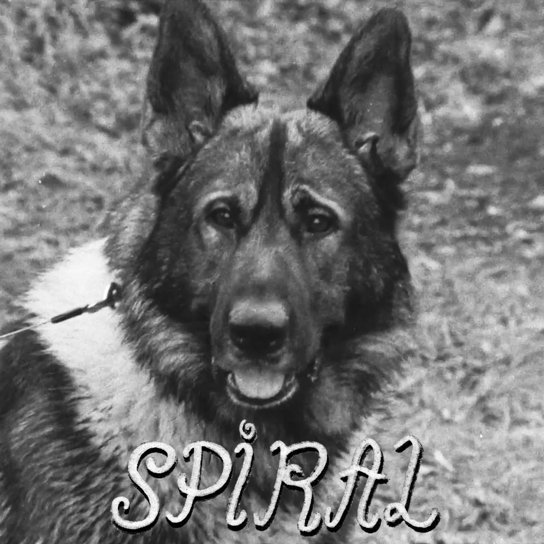 Album cover of Spiral