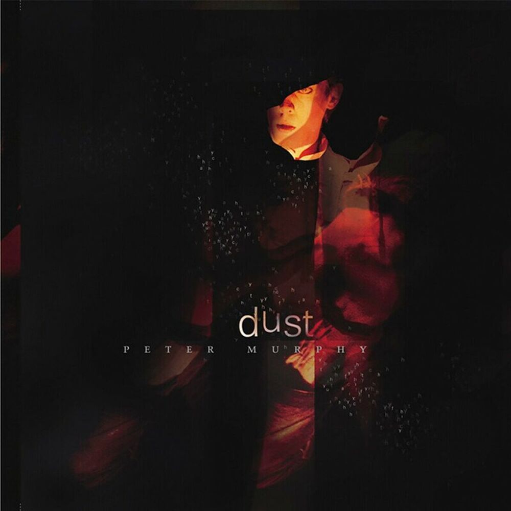 Picture of Dust