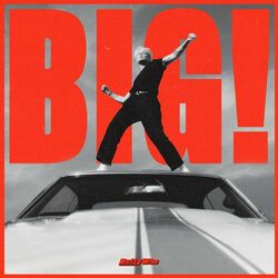 Cover of BIG!