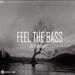 Cover of Feel the Bass