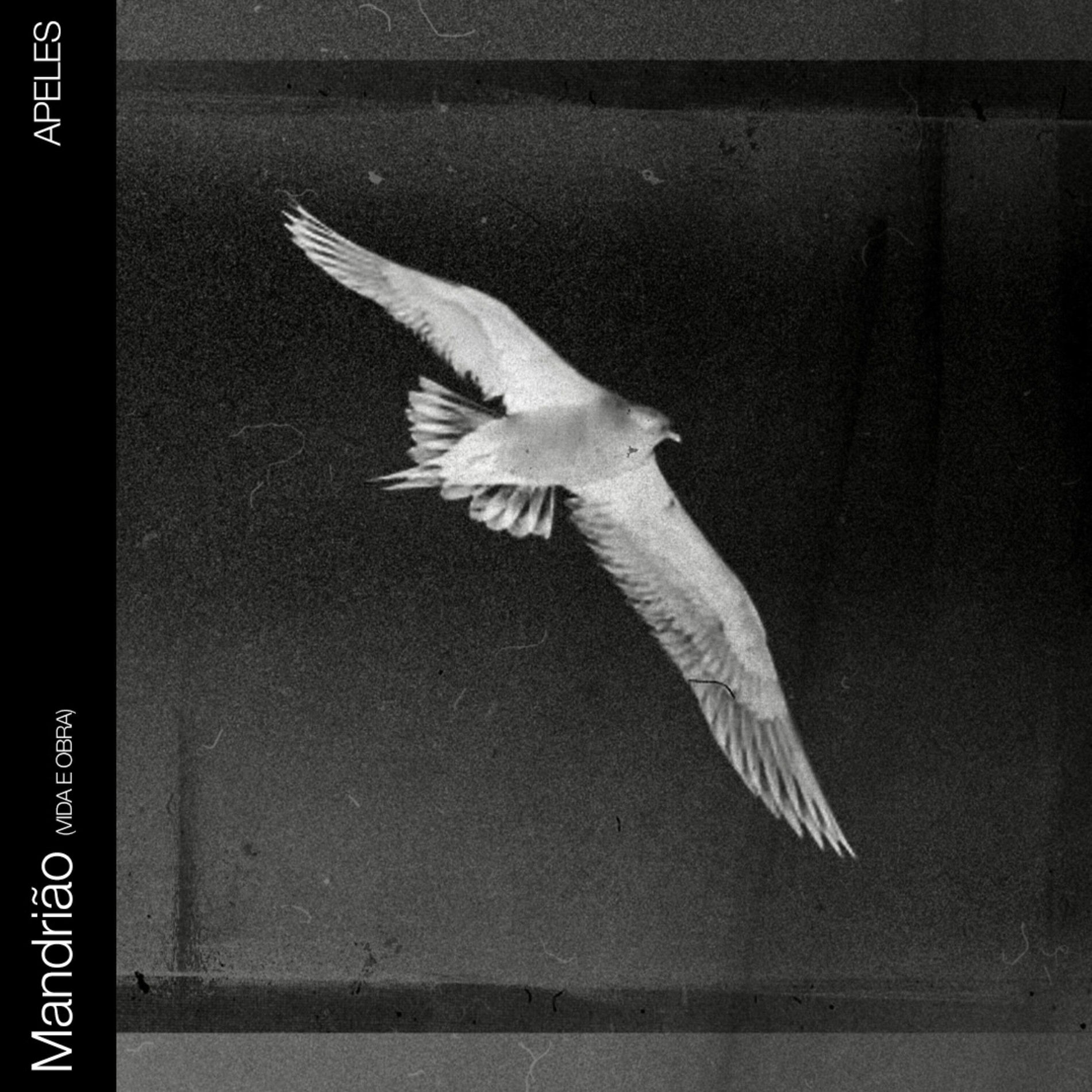 Album cover of Mandrião (Vida e Obra)