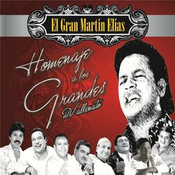 Cover of Homenaje a Los Grandes Del Vallenato
